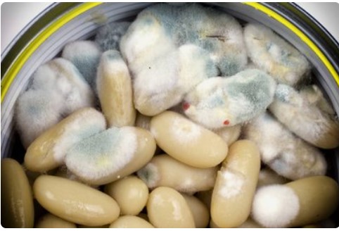 单端孢霉烯族毒素,伏马毒素(fb),杂色曲霉素(st),展青霉素(pat)以